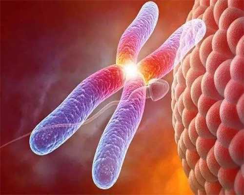 专业供卵试管套餐，权威医院排名与成功案例分享