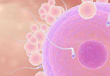 2026年无需结婚证试管医院排名及助孕服务指南