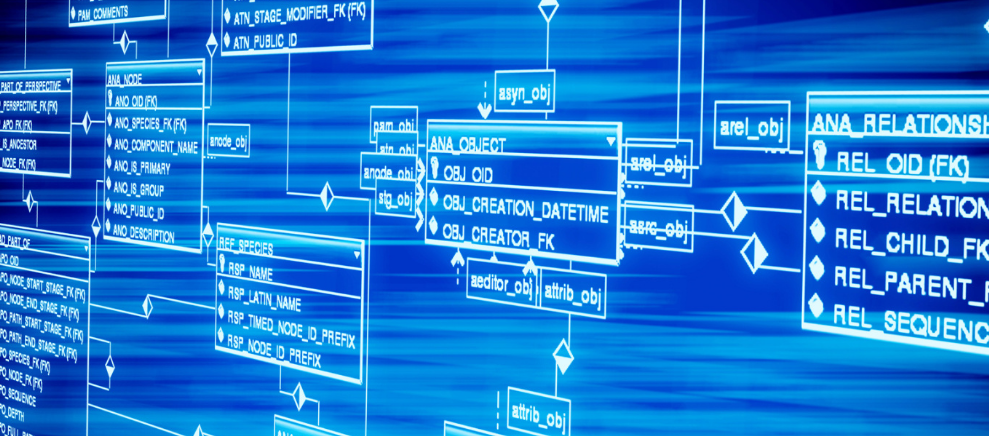 深圳长峰助孕机构
